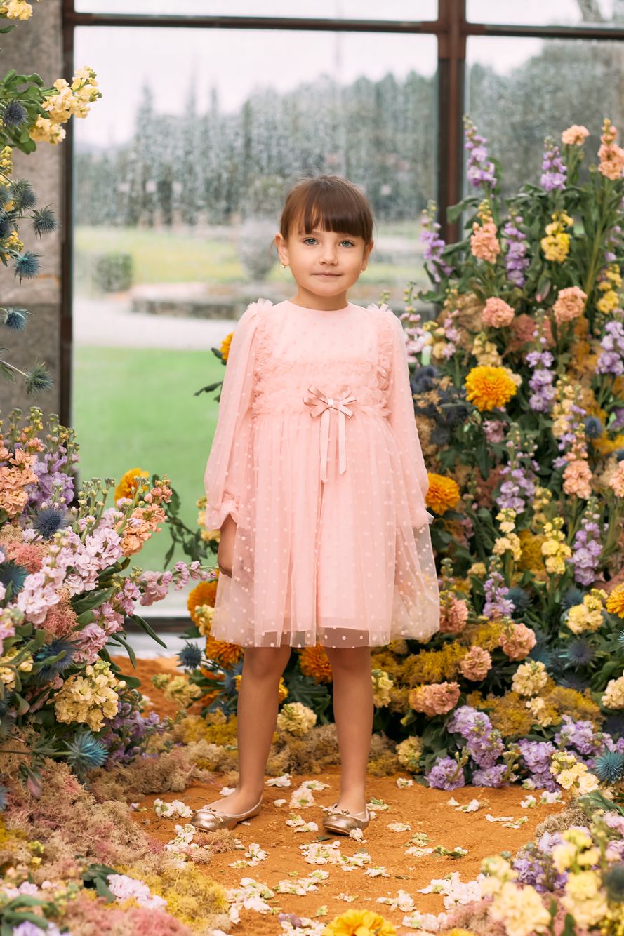 Pale pink tulle and chiffon dress