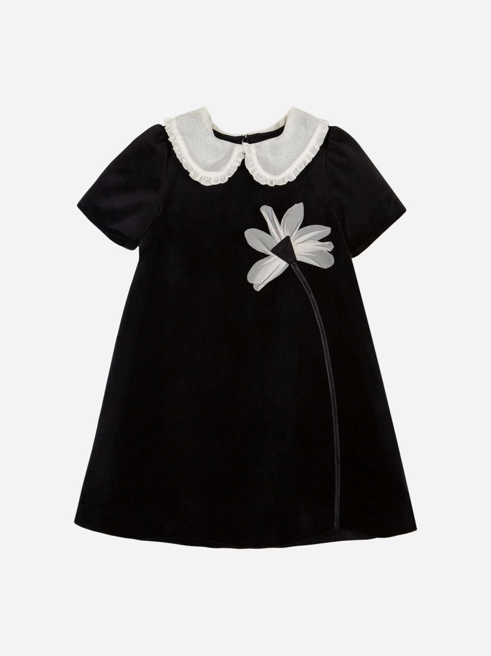 Black velvet dress