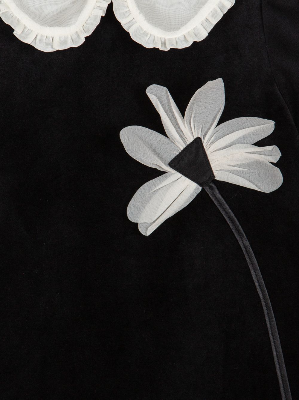 Black velvet dress