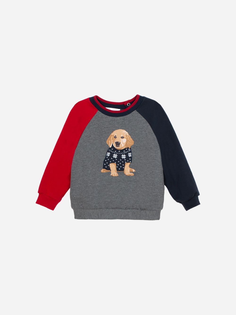 Colour block dog sweater