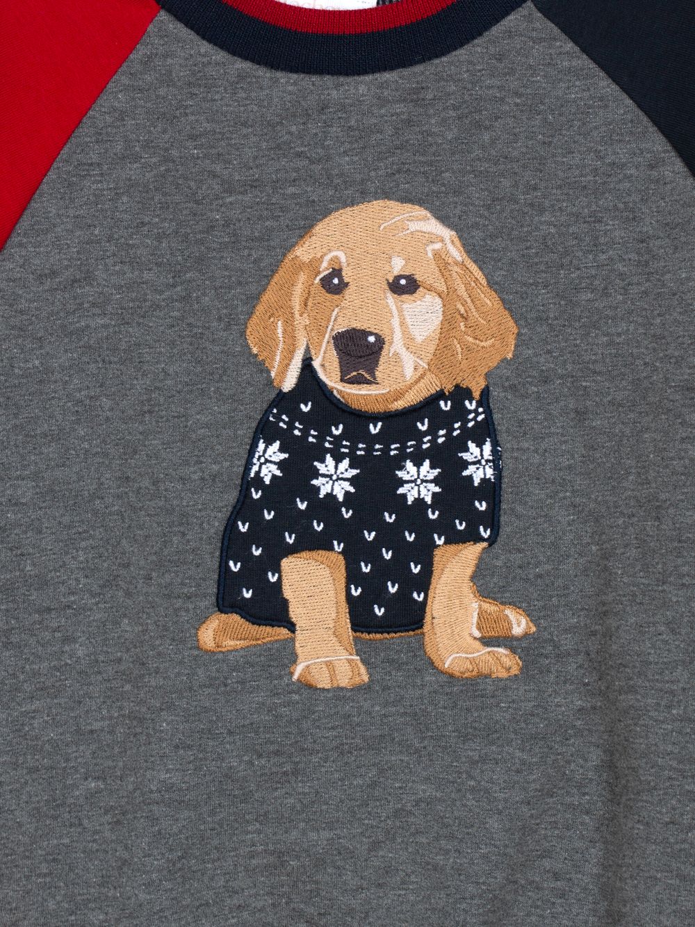 Colour block dog sweater