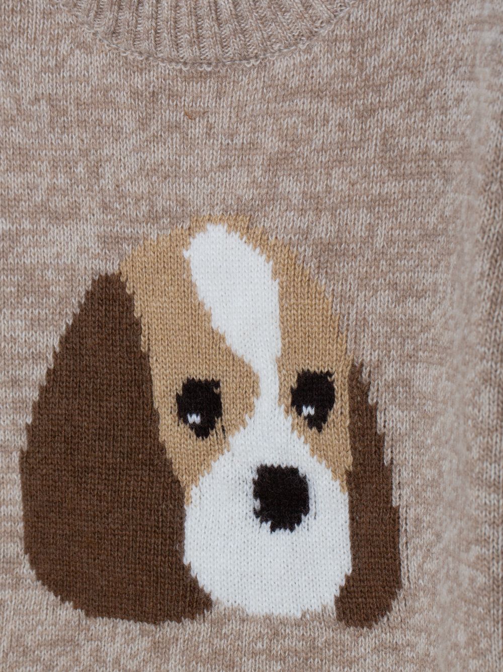 Beige melange sweater with dog design