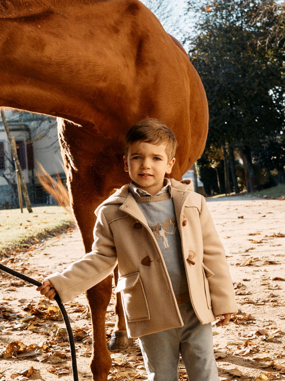 Light Blue sweater with horse front print