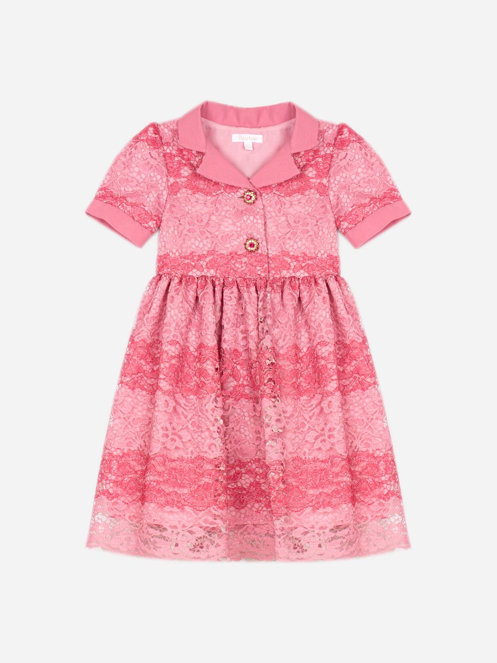 Fushcia Dress in elegant lace