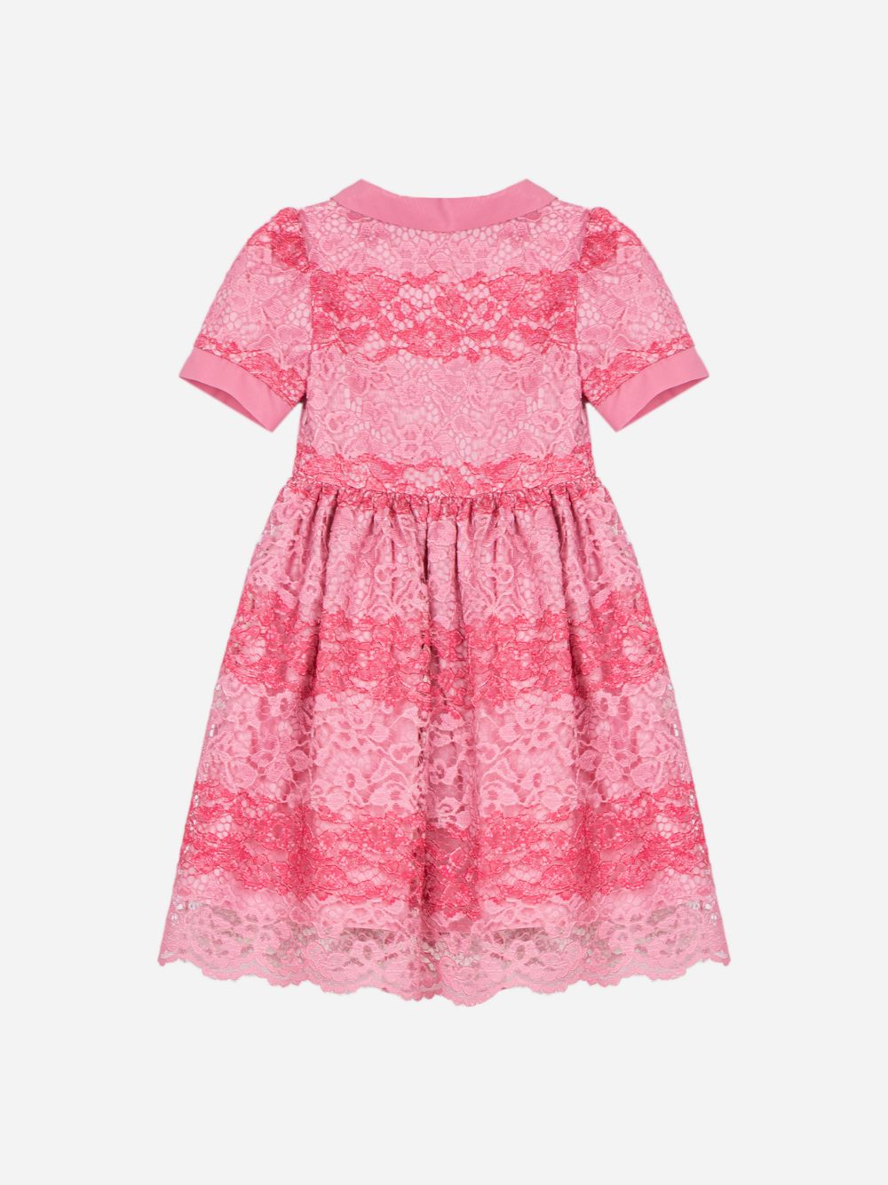 Fushcia Dress in elegant lace