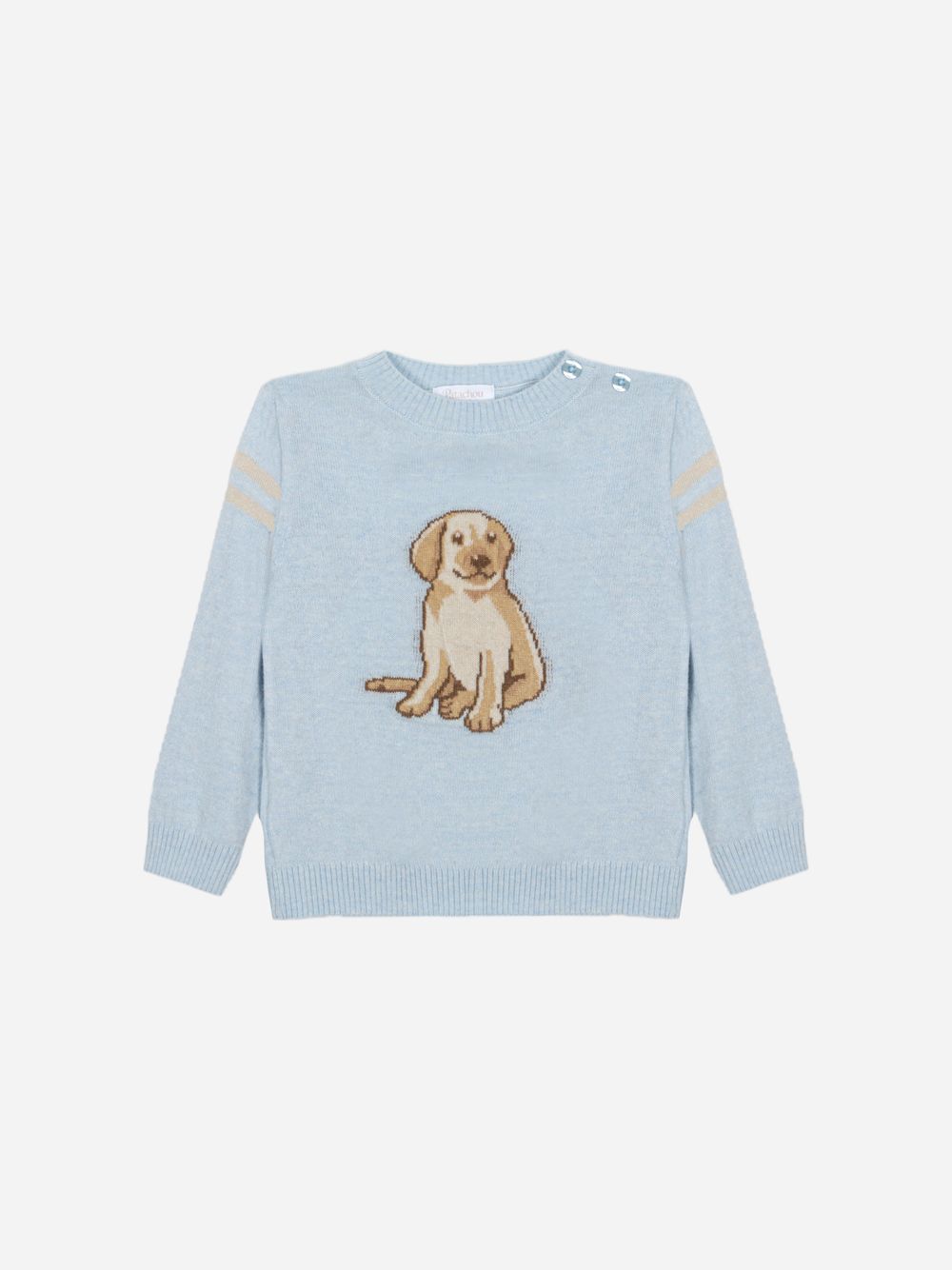 Light Blue puppy sweater