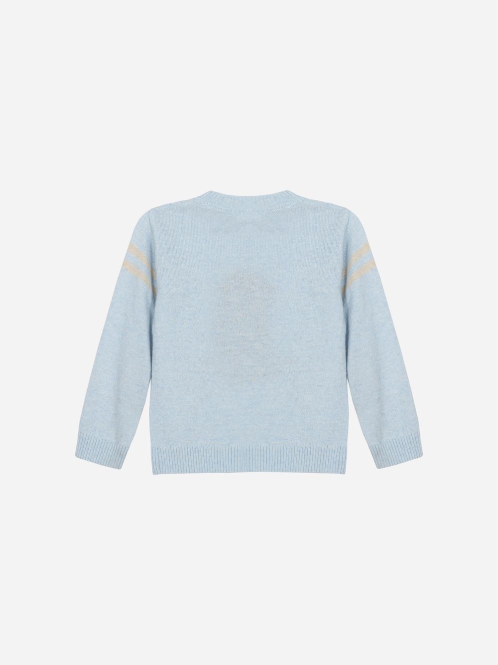 Light Blue puppy sweater