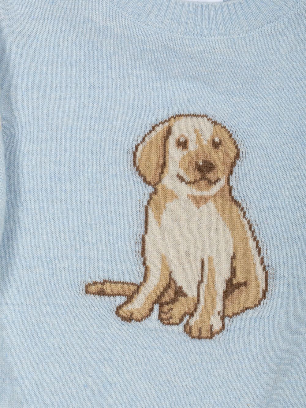 Light Blue puppy sweater