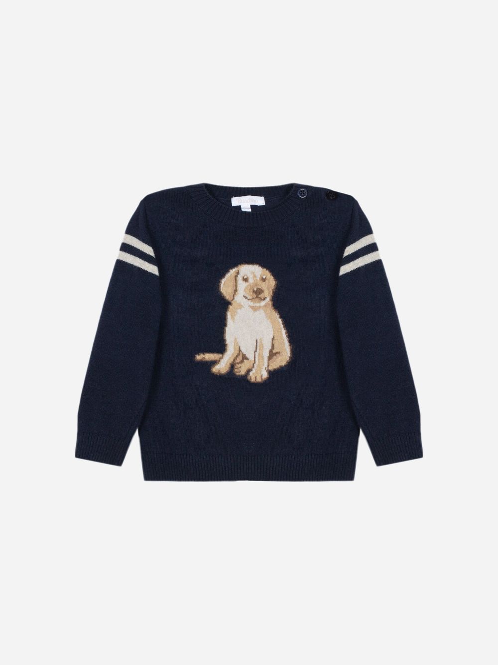Navy Blue puppy sweater