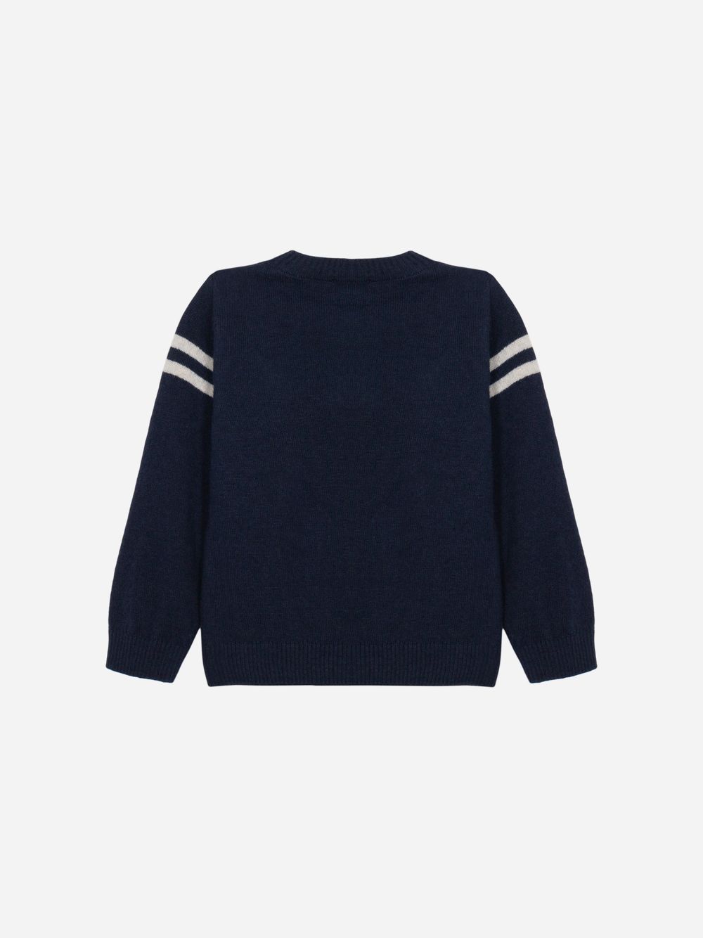 Navy Blue puppy sweater