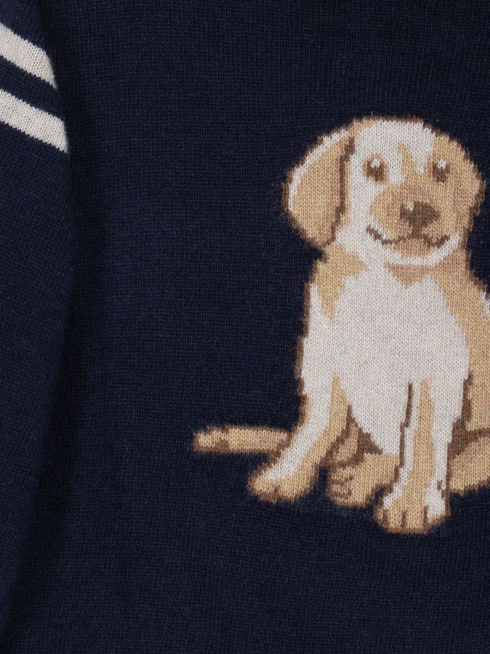Navy Blue puppy sweater